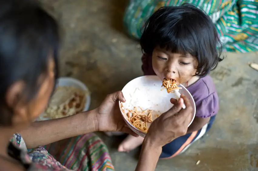 Global Hunger
